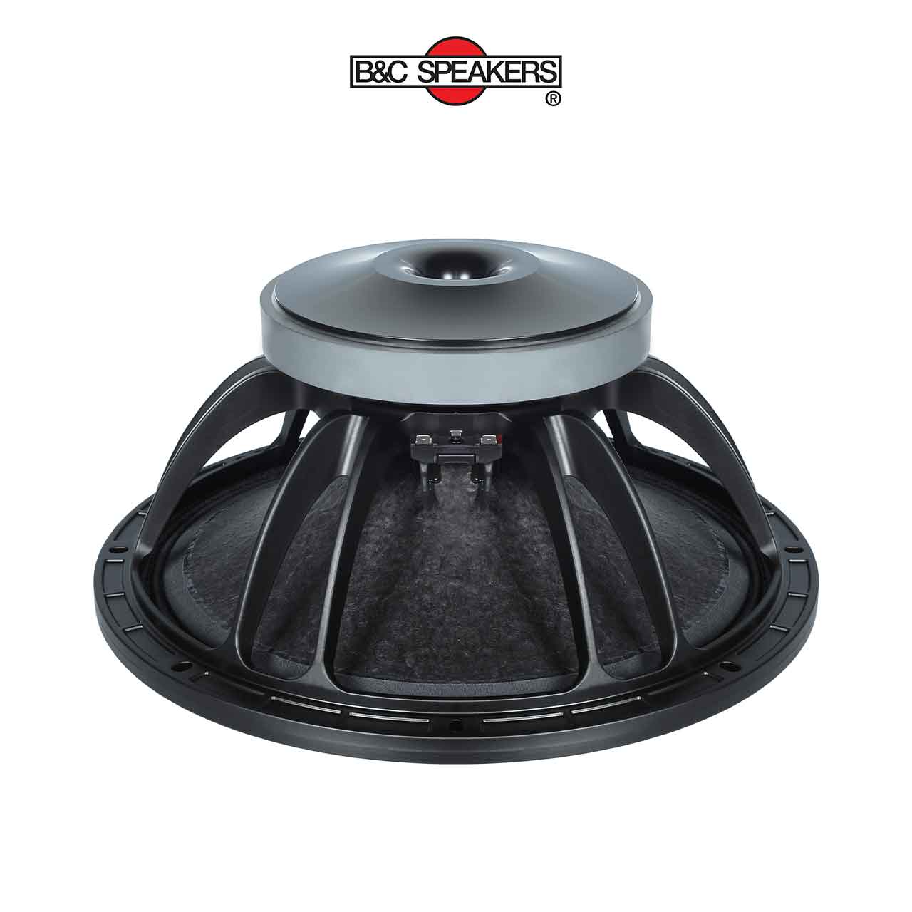 15FW76 – Loa bass rời B&C Speakers 4 tấc 15 inch - Ảnh 1