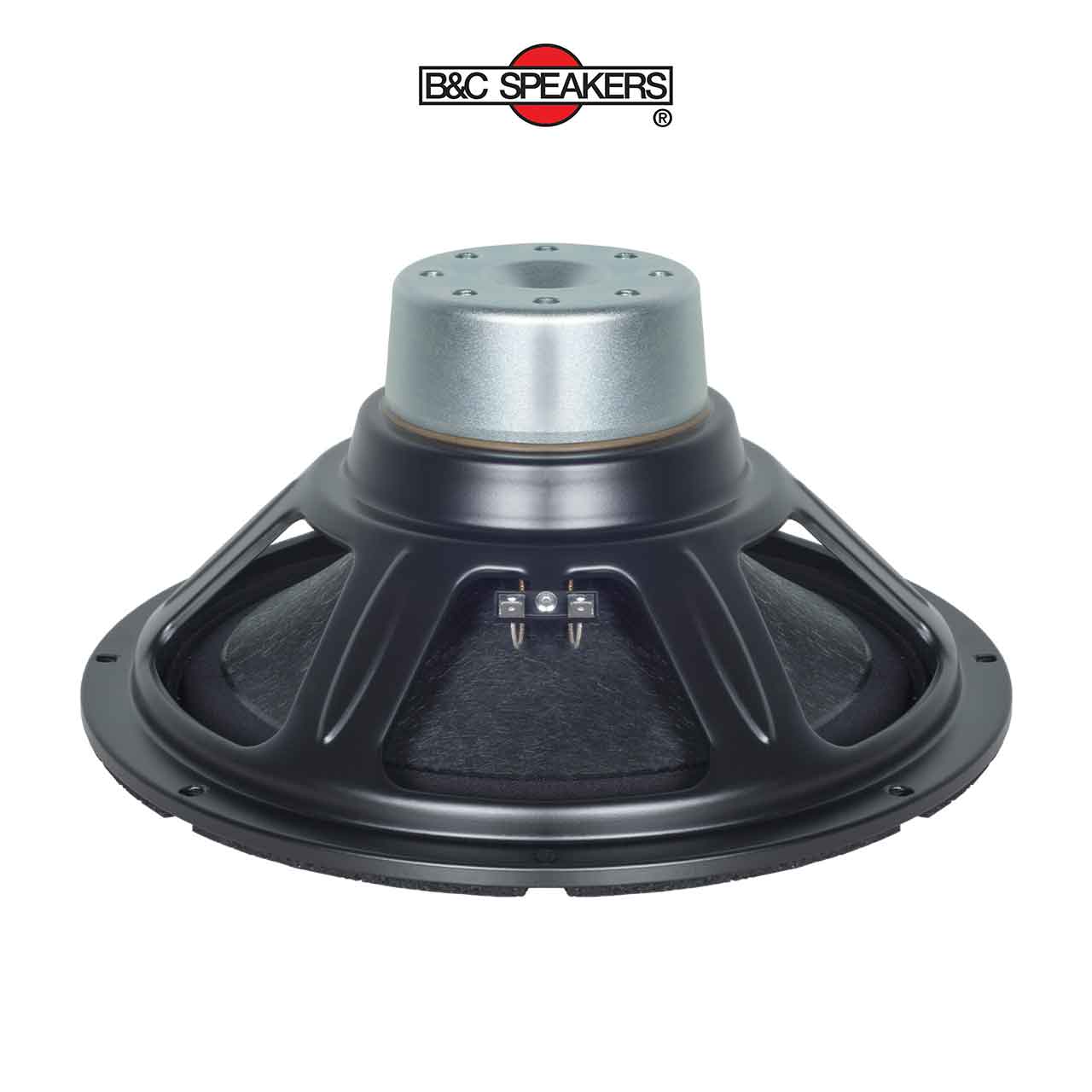 12CL76 – Loa bass rời B&C Speakers 3 tấc 12 inch - Ảnh 1