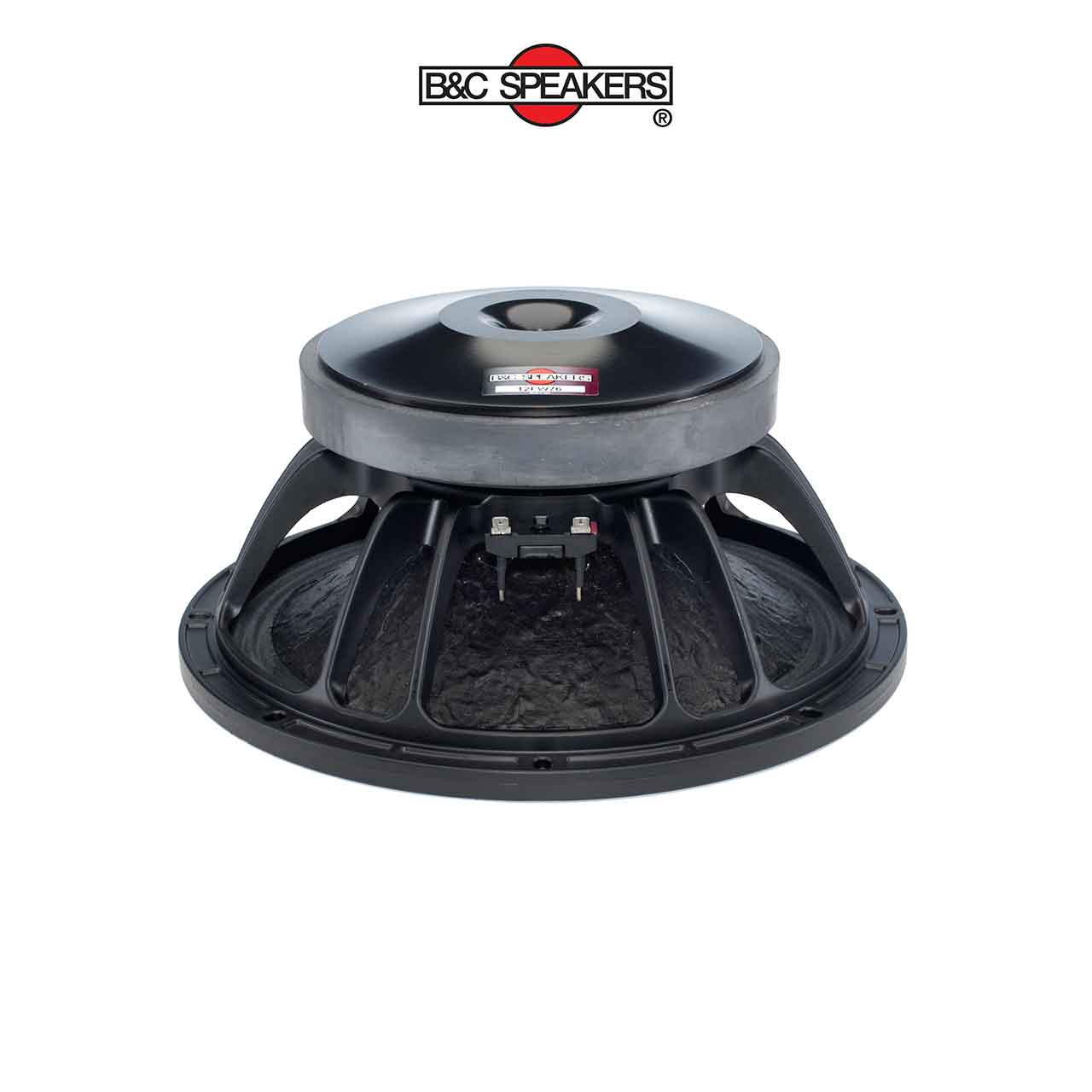 12FW76 – Loa bass rời B&C Speakers 3 tấc 12 inch - Ảnh 1