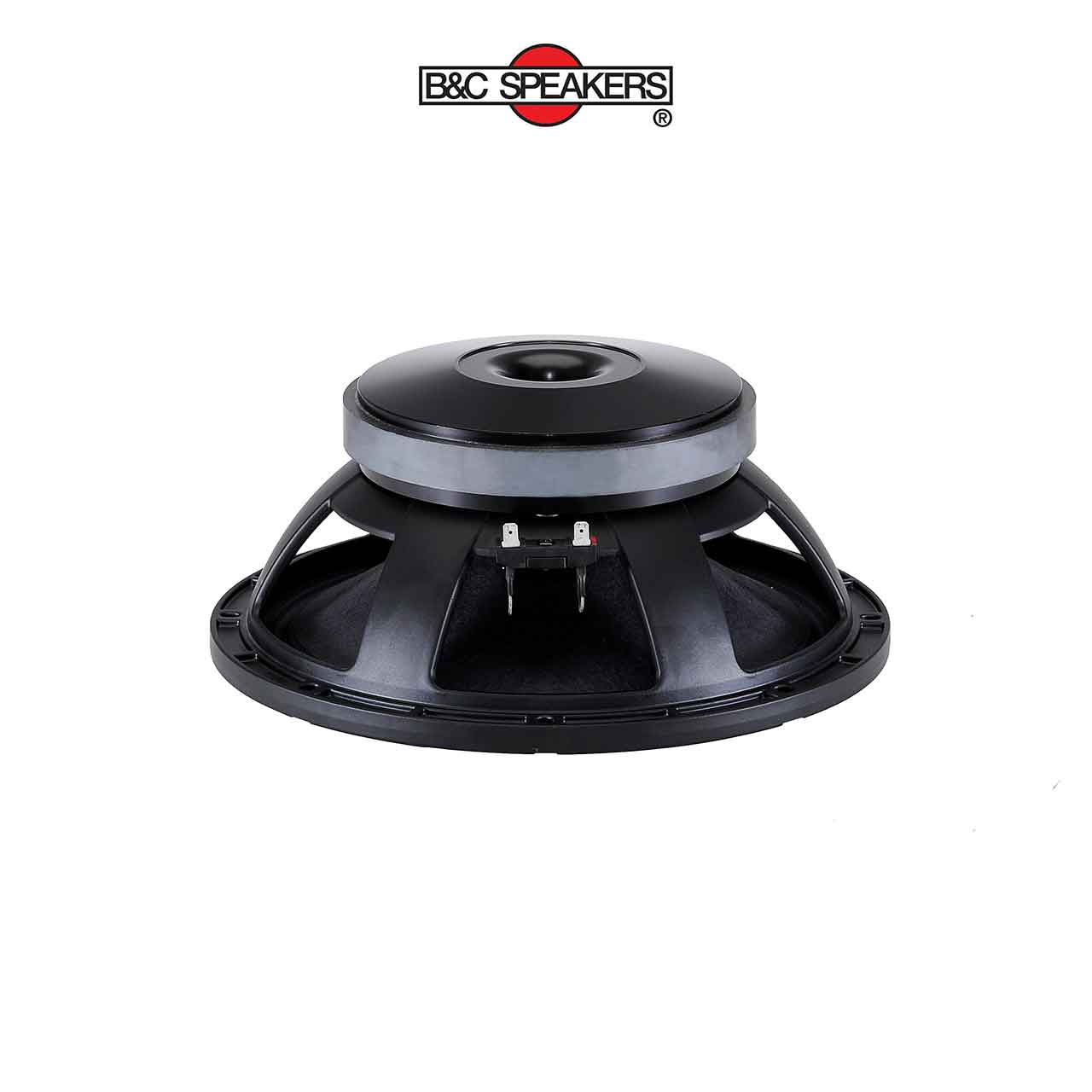 12PLB76 – Loa bass rời B&C Speakers 3 tấc 12 inch - Ảnh 1