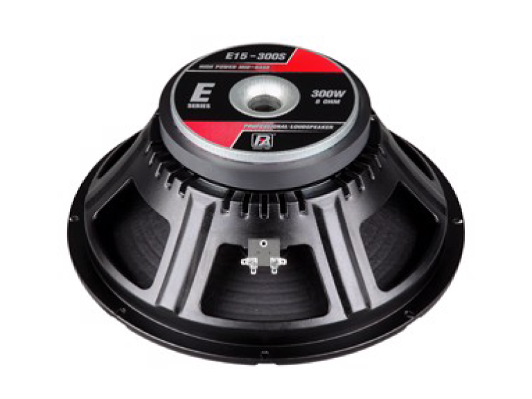 LOA RỜI P.AUDIO E15-300S - Ảnh 1